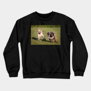 Flying ears Spinone Crewneck Sweatshirt